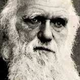 Illustration for article titled Was Darwin The Spicoli Of His Times?